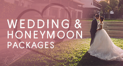 Wedding & Honeymoon Package